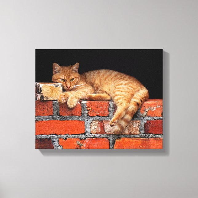 Toile Chat sur mur de brique (Recto)
