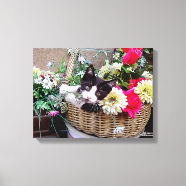 Toile Chaton dans un panier (Recto)