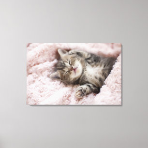 Toile Chaton dormant sur la serviette