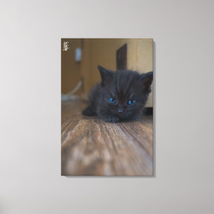 Toile Chaton noir