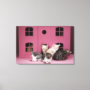 Toile Chatons dans la maison de poupée