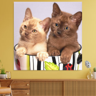 Toile chats dans une tasse