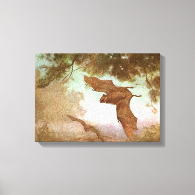 Toile Chauves-souris vampires par CE Swan, Animaux sauva (Recto)