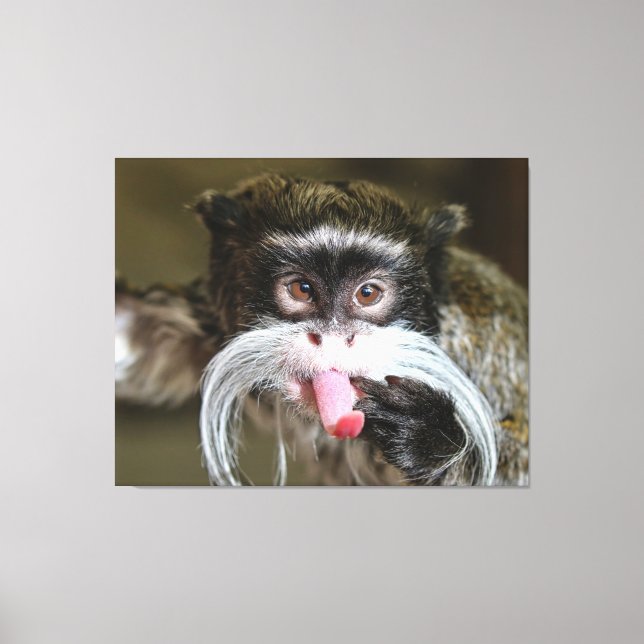 Toile Cheeky Empereur Tamarin Monkey (Recto)