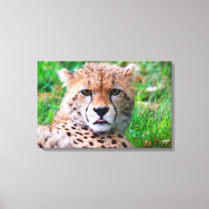 Toile Cheetah