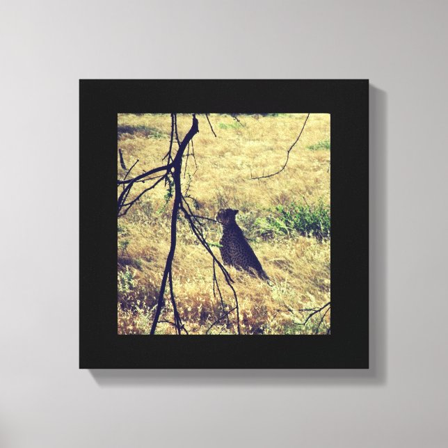 Toile Cheetah à Samburu (Recto)