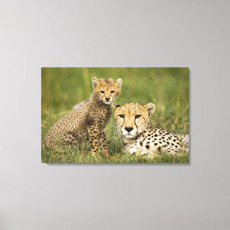 Toile Cheetah, Acinonyx jubatus, avec Cub