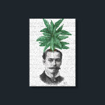 Toile Chef du Plante À feuillage persistant chinois<br><div class="desc">Mode & Figuration</div>