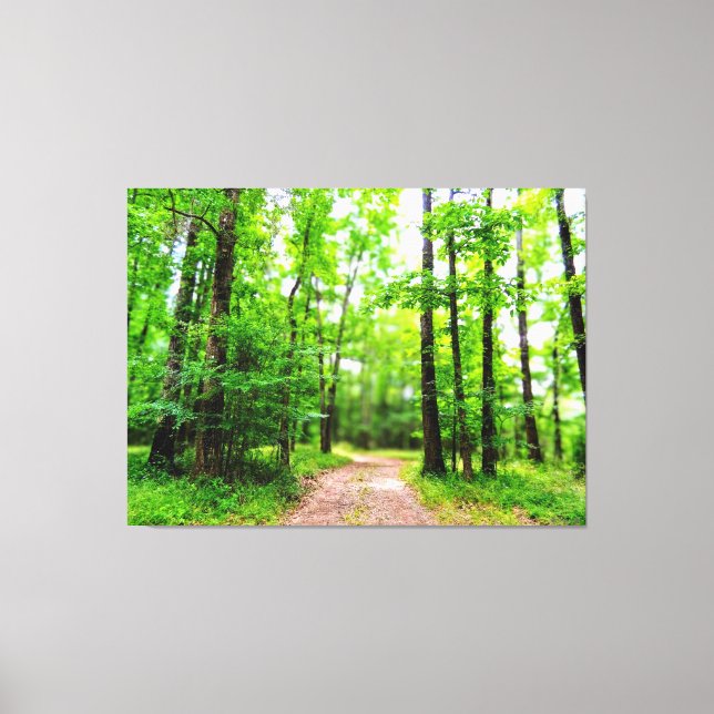 Toile Chemin dans une forêt verdoyante (Recto)