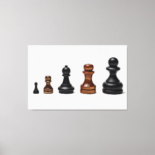 Toile Chemin de carrière