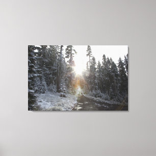 Toile Chemin de terre de Milou entrant dans le soleil
