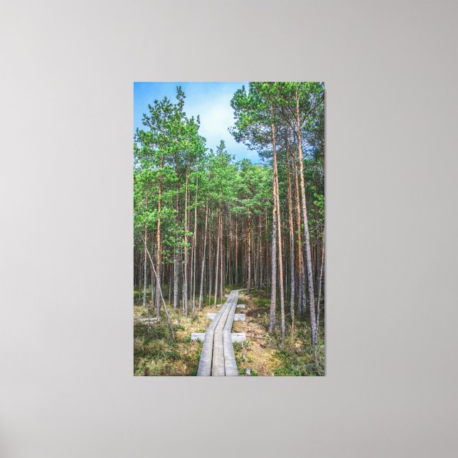 Toile Chemin en bois dans la pinède (Recto)