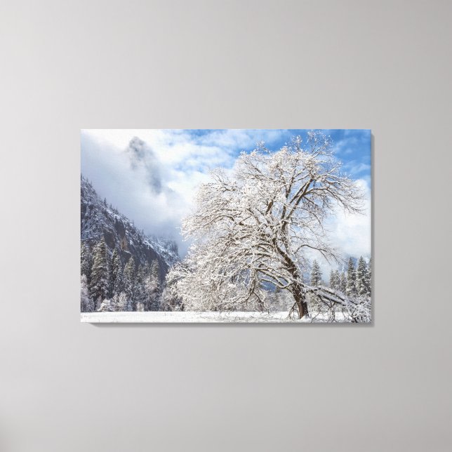 Toile Chêne neigeux (Recto)