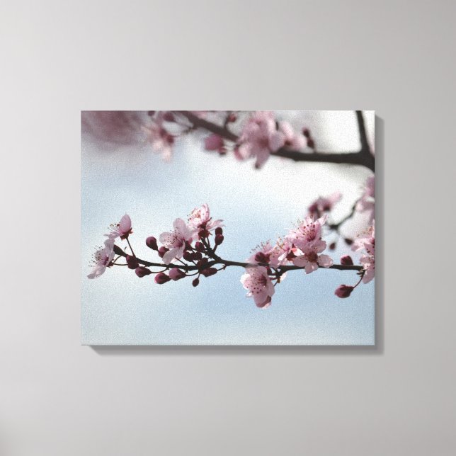 Toile Cherry Blossom et Sky (Recto)