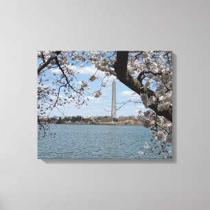 Toile CHERRY BLOSSOMS #1 SUR CANVAS 20 "x 16"
