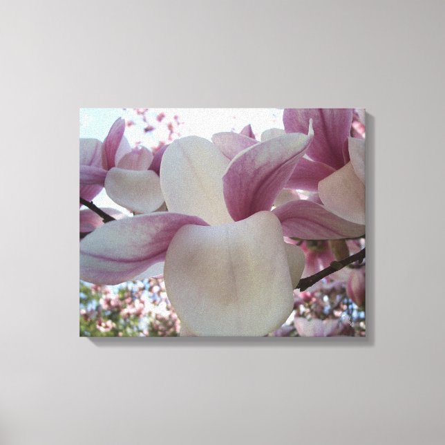Toile Cherry Blossoms Art Photographique rose et blanc (Recto)