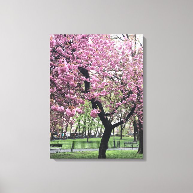 Toile Cherry Blossoms Springtime Tree New York City (Recto)