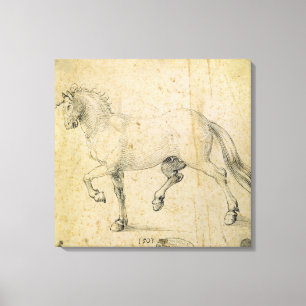 Toile Cheval, 1503 (à l'encre sur le papier)