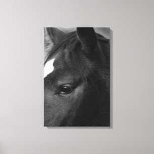 Toile Cheval 16x24 (40x60cm) waccnm