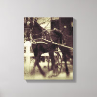 Cheval Amish et Buggy
