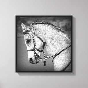 Toile Cheval arabe gris