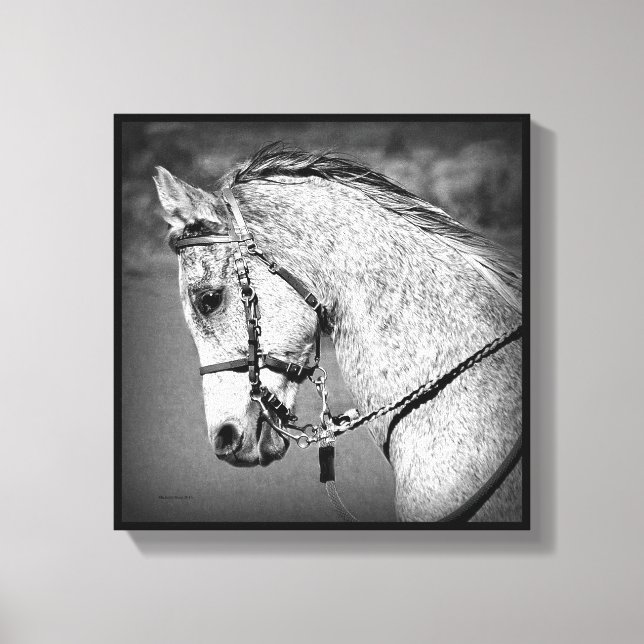 Toile Cheval arabe gris (Recto)