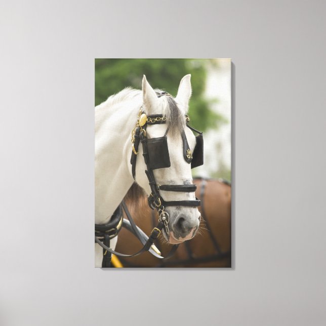 Toile Cheval aux yeux (Recto)