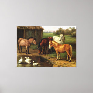 Toile Cheval Blanc Brown vintage Et Canards Animaux De L