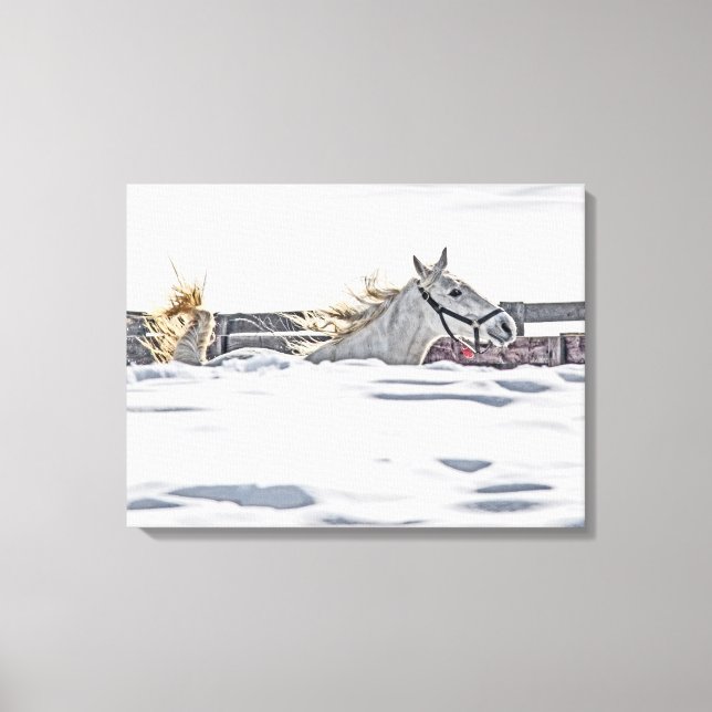 Toile Cheval Blanc Galopant Dans La Neige (Recto)