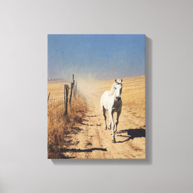 Toile Cheval Blanc Poussière Trail Art Désertique (Recto)