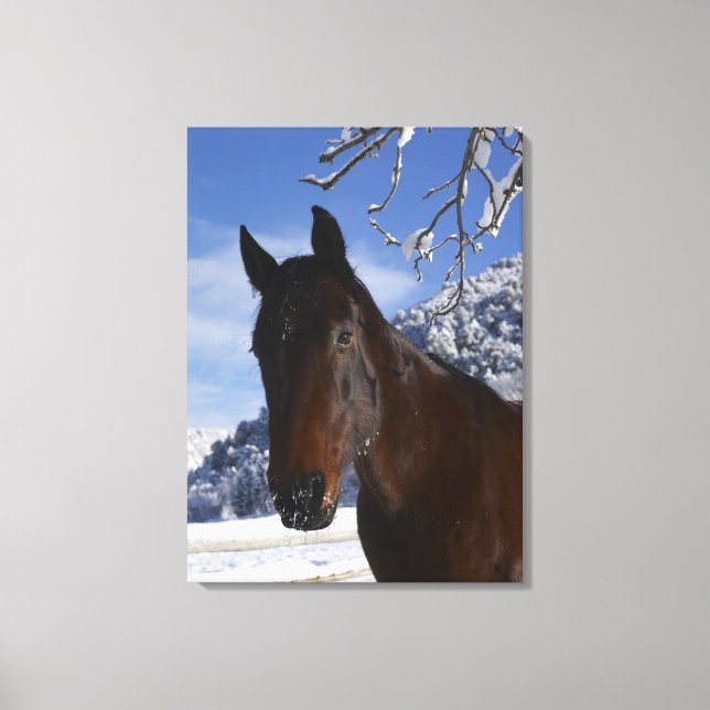 Toile Cheval Brown en hiver (Recto)