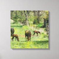 Cheval & Colts En Pâturage - Carré Canvas Art