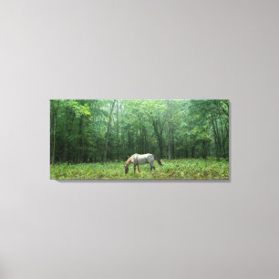 Toile Cheval dans le pré