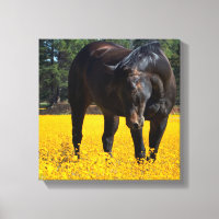 Cheval de baie dans un champ de fleurs jaunes