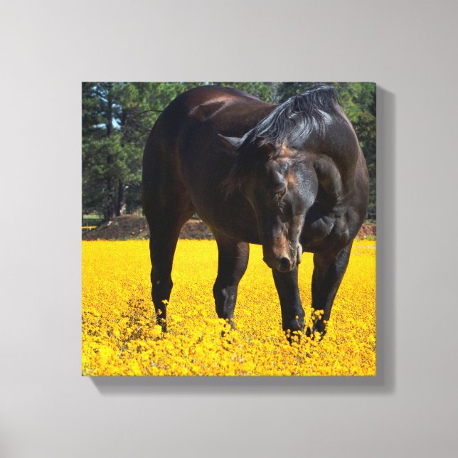 Toile Cheval de baie dans un champ de fleurs jaunes (Recto)