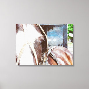 Toile Cheval de buggy amish Pinto