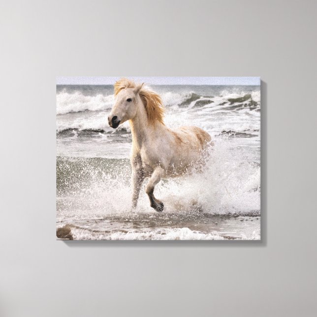 Toile Cheval de Camargue sortant des vagues (Recto)