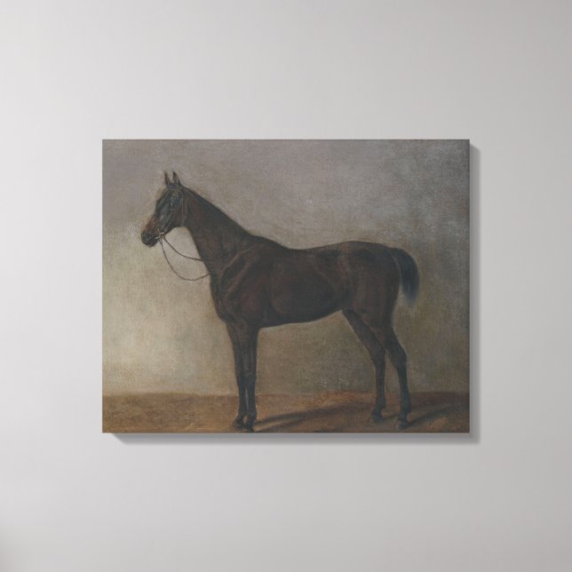 Toile Cheval de la baie de Gelding (par Albrecht Adam) (Recto)