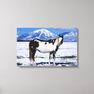 Toile Cheval de peinture debout dans la neige