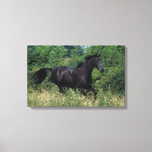 Toile Cheval de race Thoroughbred coule dans l'herbe (Recto)