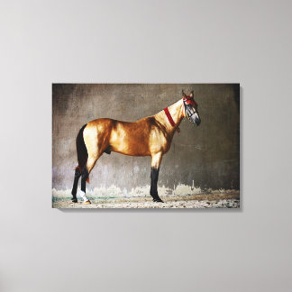 Toile Cheval de saut coloré