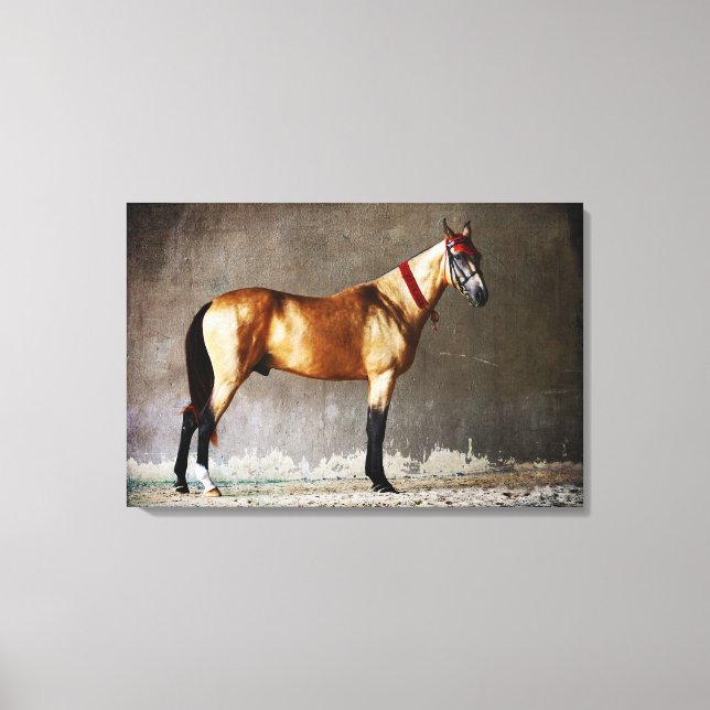 Toile Cheval de saut coloré (Recto)