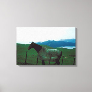 Toile Cheval derrière la barrière