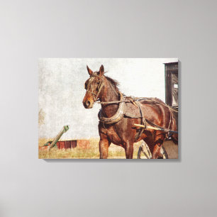 Toile Cheval et boguet amish