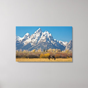 Toile Cheval et Grand Tetons, Moose Head Ranch