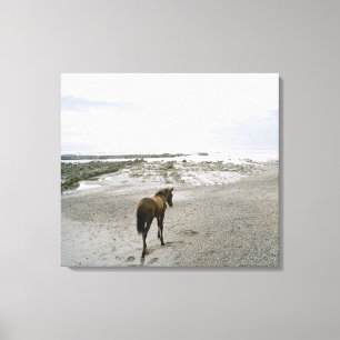 Toile Cheval marchant sur la plage