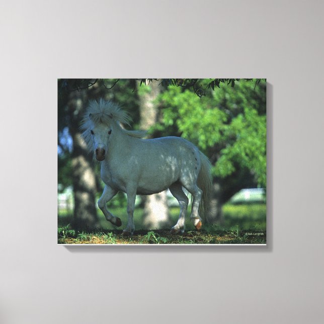 Toile Cheval miniature debout dans les arbres (Recto)