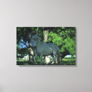 Toile Cheval miniature se tenant dans les arbres