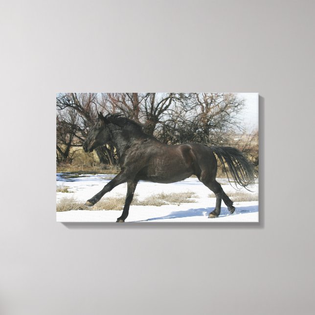 Toile Cheval Mustang sauvage dans la neige 2 (Recto)