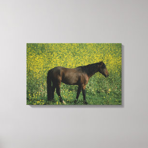 Toile Cheval Mustang sauvage debout en fleurs